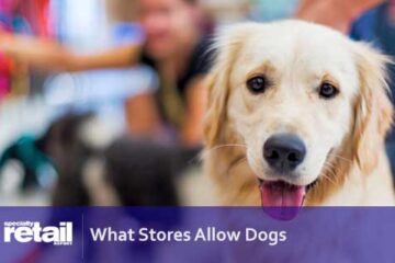 What Stores Allow Dogs