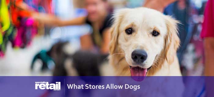 What Stores Allow Dogs